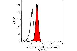 anti-RAD21 Homolog (RAD21) (AA 581-631) antibody
