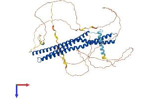 BIN2 Protein (AA 1-565) (His tag)
