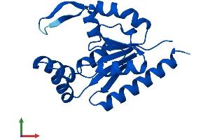 Protein Structure (PS) image for RNA Polymerase II TBP-Associated Factor Subunit G (TAF9) (AA 1-172) protein (His tag) (ABIN7559826)