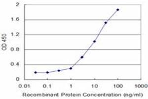 Detection limit for recombinant GST tagged HK2 is approximately 0. (Hexokinase 2 Antikörper  (AA 818-917))