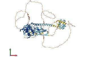 AlphaFold protein structure predicition of Human Recombinant MAP3K20 Protein, UniprotID Q9NYL2