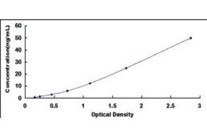 Typical standard curve (PRSS2 ELISA Kit)