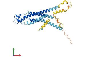 AlphaFold protein structure predicition of Mouse Recombinant Gjb5 Protein, UniprotID Q02739