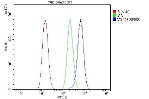 Flow Cytometry analysis of U20S cells using anti-VDAC3 antibody (ABIN7602541).