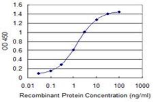 Detection limit for recombinant GST tagged IFIT3 is 0. (IFIT3 Antikörper  (AA 392-490))