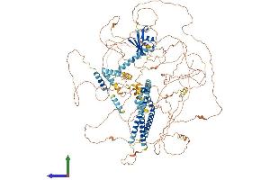 Protein Structure (PS) image for SRC Kinase Signaling Inhibitor 1 (SRCIN1) (AA 1-1250) protein (His tag) (ABIN7565136)