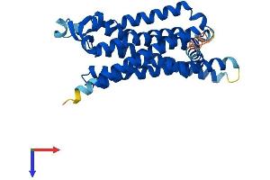 Adenosine A3 Receptor Protein (ADORA3) (AA 1-318) (His tag)