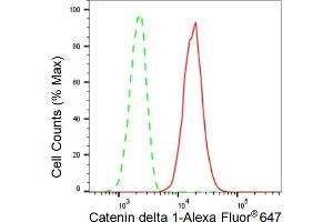 Flow cytometric analysis of Catenin delta 1 expression in C2C12 cells using Catenin delta 1 antibody (ABIN7797934), 1:2,000). (Rekombinanter CTNND1 Antikörper)