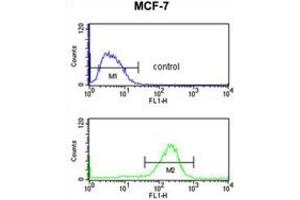 Flow Cytometry (FACS) image for anti-Nuclear Import 7 Homolog (NIP7) antibody (ABIN3003870) (NIP7 Antikörper)