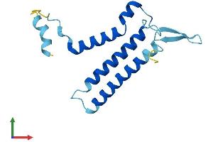 Protein Structure (PS) image for Oligosaccharyltransferase Complex Subunit (OSTC) (AA 1-149) protein (His tag) (ABIN7558181)