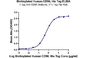 Immobilized Anti-CD96 Antibody, hFc Tag at 1 μg/mL (100 μL/well) on the plate. (CD96 Protein (CD96) (AA 22-503) (His-Avi Tag,Biotin))
