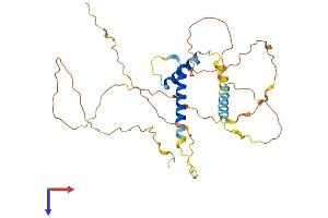 SOHLH1 Protein (AA 1-328) (His tag)