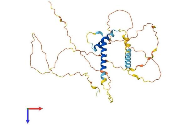 SOHLH1 Protein (AA 1-328) (His tag)