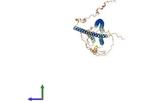 Protein Structure (PS) image for Coiled-Coil Domain Containing 78 (CCDC78) (AA 1-438) protein (His tag) (ABIN7552979)