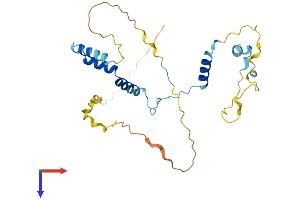 PPP1R35 Protein (AA 1-260) (His tag)
