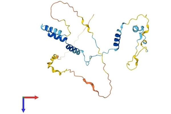 PPP1R35 Protein (AA 1-260) (His tag)
