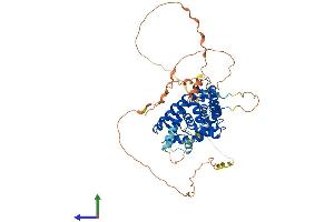 Protein Structure (PS) image for Retinoid X Receptor, beta (RXRB) (AA 1-533) protein (His tag) (ABIN7551609)
