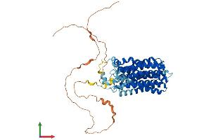 AlphaFold protein structure predicition of Human Recombinant FLVCR1 Protein, UniprotID Q9Y5Y0