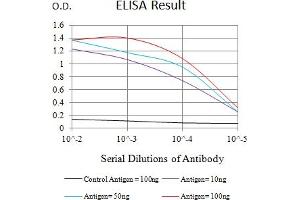 Black line: Control Antigen (100 ng),Purple line: Antigen (10 ng), Blue line: Antigen (50 ng), Red line:Antigen (100 ng) (PTPRJ Antikörper  (AA 36-210))