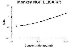 Monkey Primate NGF/NGF beta PicoKine ELISA Kit standard curve