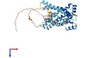 SLC25A28 Protein (AA 1-364) (His tag)