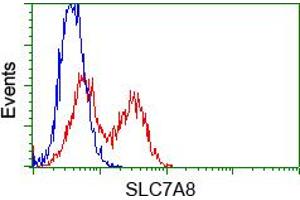 HEK293T cells transfected with either pCMV6-ENTRY SLC7A8 (RC208586) (Red) or empty vector control plasmid (Blue) were immunostained with anti-SLC7A8 mouse monoclonal (ABIN2452328, Dilution 1:1,000), and then analyzed by flow cytometry.