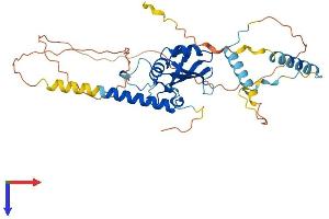 C7orf64 Protein (AA 1-367) (His tag)
