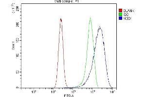 Flow Cytometry analysis of CACO-2 cells using anti-CARD4/NOD1 antibody (ABIN7600975). (NOD1 Antikörper  (AA 26-953))