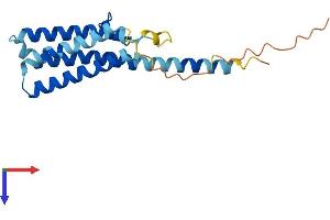 AlphaFold protein structure predicition of Mouse Recombinant Tvp23b Protein, UniprotID Q9D8T4 (TVP23C/FAM18B2 Protein (AA 1-205) (His tag))