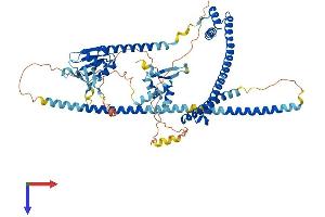 ENOX1 Protein (AA 1-643) (His tag)