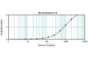 Image no. 3 for anti-Interleukin 15 (IL15) antibody (ABIN464930) (IL-15 Antikörper)