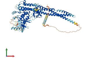 Protein Structure (PS) image for conserved Helix-Loop-Helix Ubiquitous Kinase (CHUK) (AA 1-745) protein (His tag) (ABIN7554164)