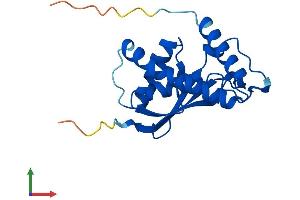 Protein Structure (PS) image for Trafficking Protein Particle Complex 3 (TRAPPC3) (AA 1-180) protein (His tag) (ABIN7544580)
