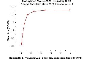 Immobilized Biotinylated Mouse CD28, His,Avitag (ABIN6972980) at 1 μg/mL (100 μL/well) on Streptavidin  precoated (0.