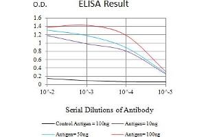 Black line: Control Antigen (100 ng),Purple line: Antigen (10 ng), Blue line: Antigen (50 ng), Red line:Antigen (100 ng) (CHD4 Antikörper  (AA 1-194))