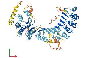 AlphaFold protein structure predicition of Human Recombinant PRAMEF17 Protein, UniprotID Q5VTA0