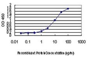 ELISA image for anti-Checkpoint with Forkhead and Ring Finger Domains (CHFR) (AA 1-653) antibody (ABIN599268) (CHFR Antikörper  (AA 1-653))