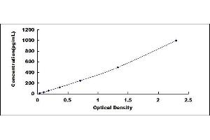 Typical standard curve (PUMA ELISA Kit)