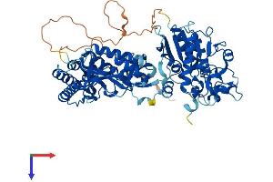 UBASH3B Protein (AA 1-649) (His tag)