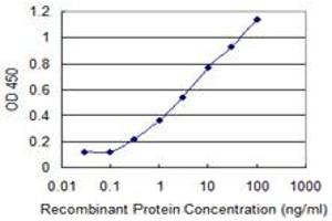 Detection limit for recombinant GST tagged SNAPC4 is 0. (SNAPC4 Antikörper  (AA 53-162))