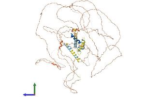 AlphaFold protein structure predicition of Human Recombinant TCHHL1 Protein, UniprotID Q5QJ38