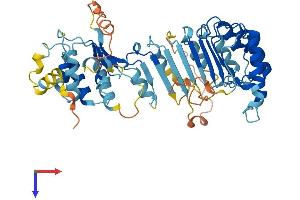 AlphaFold protein structure predicition of Human Recombinant PRAMEF17 Protein, UniprotID Q5VTA0