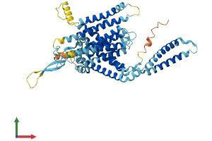 Protein Structure (PS) image for LMBR1 Domain Containing 1 (LMBRD1) (AA 1-540) protein (His tag) (ABIN7549029)