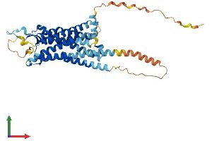 Protein Structure (PS) image for Neurotensin Receptor 2 (NTSR2) (AA 1-410) protein (His tag) (ABIN7549880)