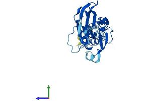 Protein Structure (PS) image for F-Box Protein 44 (FBXO44) (AA 1-255) protein (His tag) (ABIN7547661)