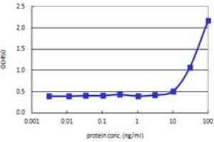 EPHB3 (Human) Matched Antibody Pair