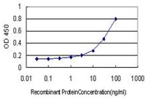 Detection limit for recombinant GST tagged RASA3 is approximately 0. (RASA3 Antikörper  (AA 725-834))