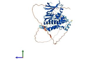 Protein Structure (PS) image for MOK Protein Kinase (MOK) (AA 1-420) protein (His tag) (ABIN7556335)