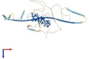 PPFIBP1 Protein (AA 1-969) (His tag)