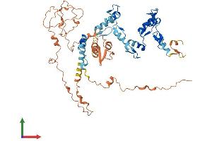 AlphaFold protein structure predicition of Human Recombinant ZNF554 Protein, UniprotID Q86TJ5